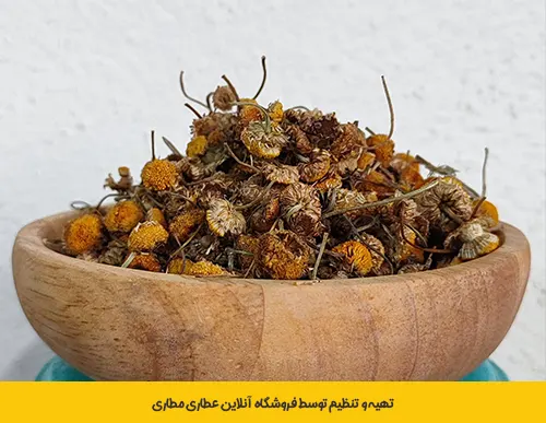 گل بابونه بهترین قیمت خرید - گل بابونه برای پوست - خرید گل بابونه - گل بابونه - خواص چای گل بابونه