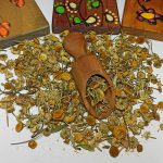 گل بابونه - تصویر 4