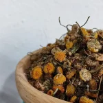 گل بابونه بهترین قیمت خرید - گل بابونه برای پوست - خرید گل بابونه - گل بابونه - خواص چای گل بابونه