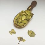 هل سبز - تصویر 6