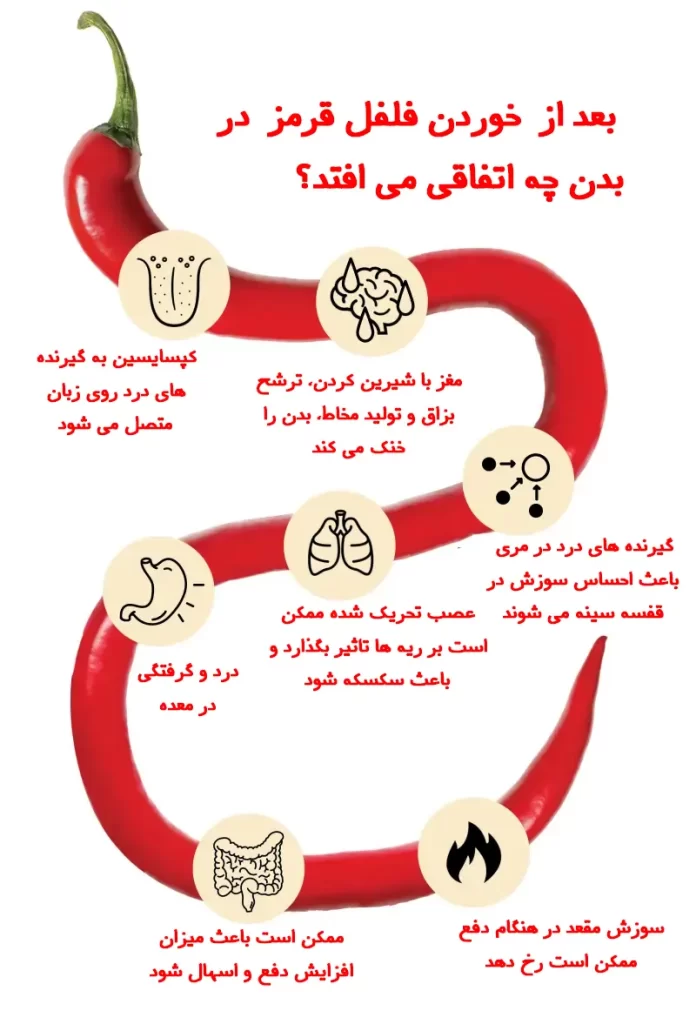 بعد از خوردن فلفل قرمز در بدن چه اتفاقی می افتد