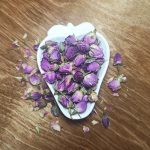 غنچه گل محمدی یا گل سرخ بهترین قیمت خرید