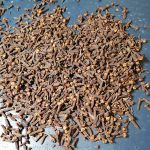 میخک بهترین قیمت خرید گل میخک خشک شده برای دمنوش یا پخت غذا