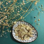 برگ سنا بهترین قیمت خرید چای سنا