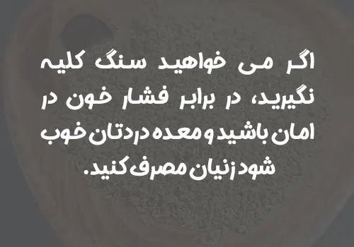 زنیان دانه سرشار از فیبر مناسب برای لاغری و چربی