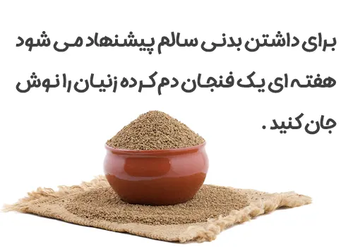 زنیان دانه ای برای سلامت بدن - خرید زنیان - خواص زنیان - خاصیت دمنوش زنیان