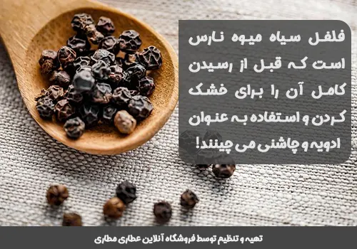 دانه فلفل سیاه میوه نارس و کال درخت - خرید فلفل سیاه خشک - قیمت فلفل سیاه خشک