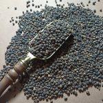 دانه فلفل سیاه بهترین قیمت خرید