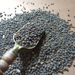 دانه فلفل سیاه بهترین قیمت خرید