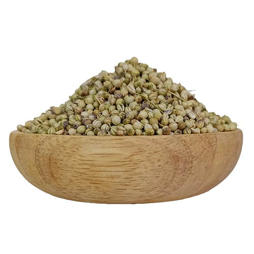 تخم گشنیز خشک شده درجه یک - خرید تخم گشنیز - قیمت تخم گشنیز - تخم گشنیز