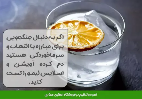 اسلایس لیمو عمانی بهترین قیمت خرید چاشنی و دمنوش ترش