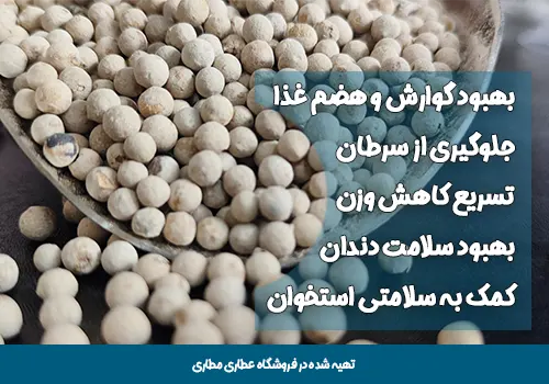 دانه فلفل سفید - قیمت دانه فلفل سفید - خرید دانه فلفل سفید - خواص دانه فلفل سفید