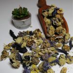 خرید غنچه گل ختمی