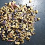 خرید غنچه گل ختمی