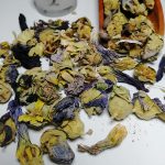 خرید غنچه گل ختمی