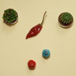 فلفل قرمز خشک شده - تصویر 8