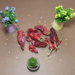 خرید فلفل قرمز تند چیلی خشک شده
