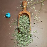 خرید برگ رزماری یا اکلیل کوهی