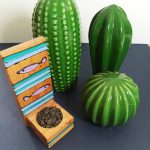 چای سبز بهترین قیمت خرید