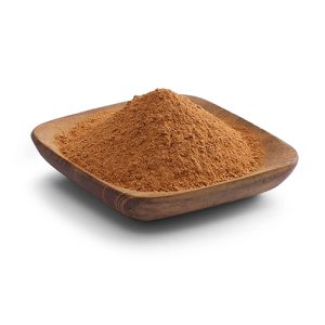 پودر دارچین بهترین قیمت خرید دارچین آسیاب شده