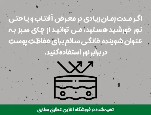 خواص چای سبز برای پوست - خرید چای سبز - قیمت چای سبز