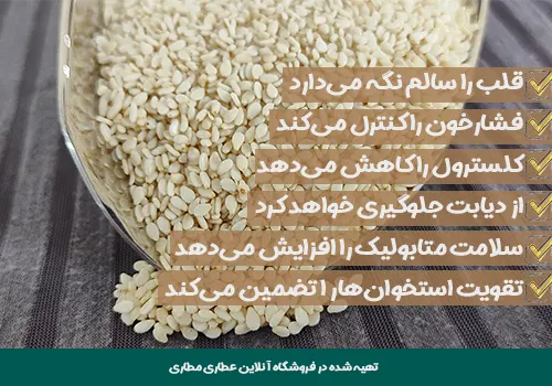 خواص کنجد - کنجد سفید - خرید کنجد سفید - قیمت کنجد سفید - خاصیت کنجد - قیمت کنجد