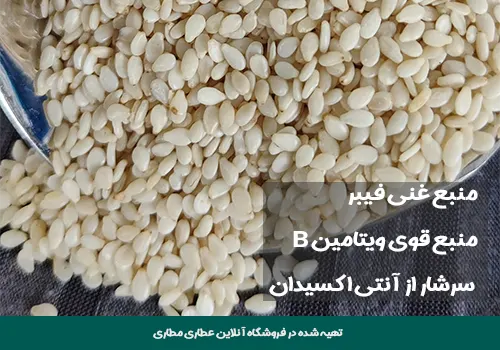 خواص کنجد - کنجد سفید - خرید کنجد سفید - قیمت کنجد سفید - خاصیت کنجد - قیمت کنجد