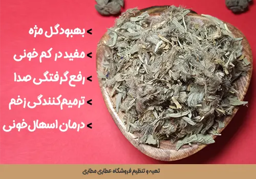 چای کوهی، چای توکلیجه یا چای پشمی بهترین قیمت خرید