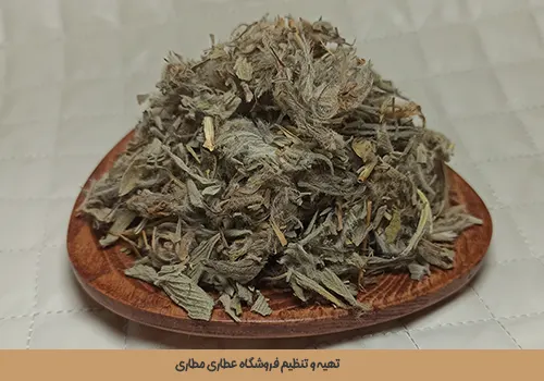 چای کوهی، چای توکلیجه یا چای پشمی بهترین قیمت خرید