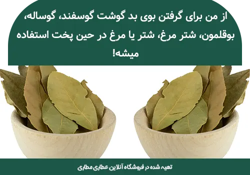 خرید برگ بو
