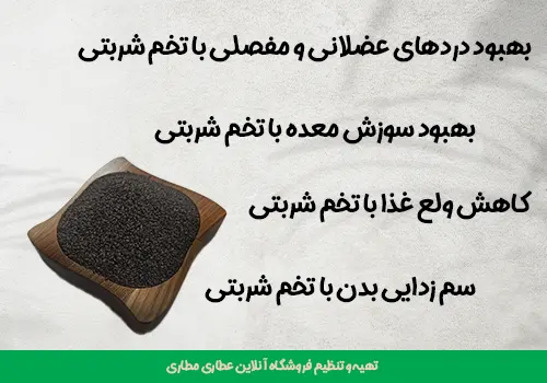 خواص تخم شربتی یا دانه ریحان کوهی - تخم شربتی - خرید تخم شربتی - قیمت تخم شربتی