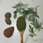 شوید خشک بهترین قیمت خرید