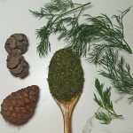 شوید خشک بهترین قیمت خرید