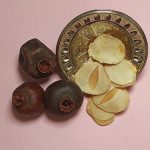 اسلایس موسیر بهترین قیمت موسیر خشک شده