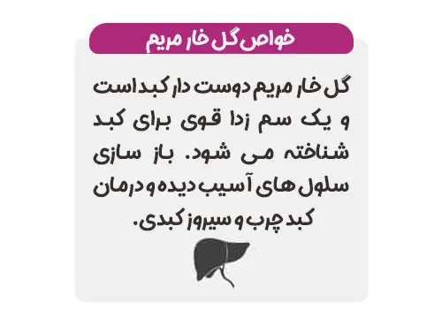 خواص گل خار مریم