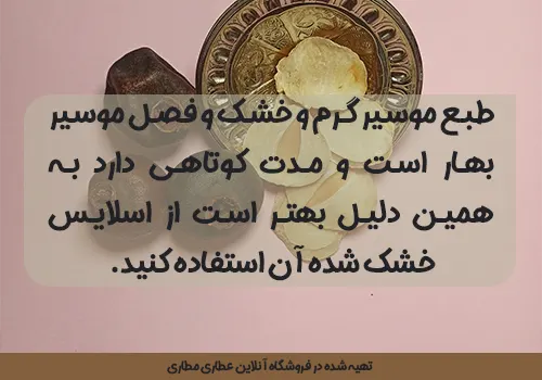 اسلایس موسیر - خرید اسلایس موسیر - قیمت اسلایس موسیر - استفاده اسلایس موسیر - کاربرد اسلایس موسیر