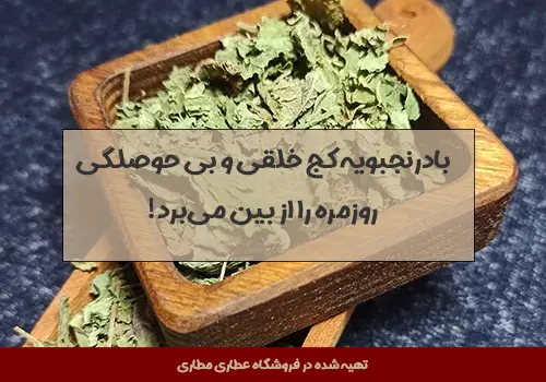 دمنوش بادرنجبویه - خواص دمنوش بادرنجبویه - خواص بادرنجبویه