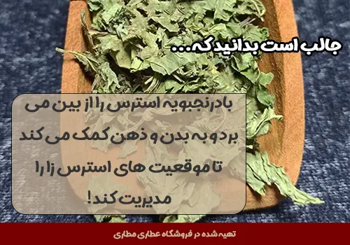 نحوه مصرف دمنوش بادرنجبویه - دمنوش بادرنجبویه - خواص دمنوش بادرنجبویه - خواص بادرنجبویه