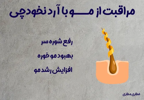 کاربرد و خواص آرد نخودچی برای مو - آردنخودچی درمانگر شوره سر و موخوره