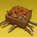 گل همیشه بهار