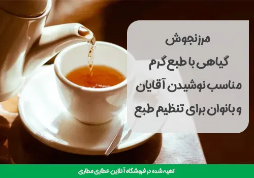 مرزنجوش - طبع مرزنجوش - مرزنگوش - مزه مرزنجوش - کاربرد مرزنجوش - خرید مرزنجوش