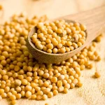 خرید دانه خردل زرد یا تخم خردل زرد