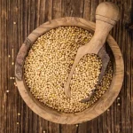 خرید دانه خردل زرد یا تخم خردل زرد