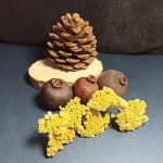 خرید سرگل بومادران خشک شده