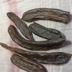 خرنوب اصل ترکیه درجه