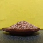 تخم، دانه یا بذر تربچه