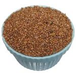 تخم، دانه یا بذر تربچه