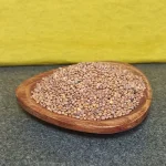 تخم، دانه یا بذر تربچه