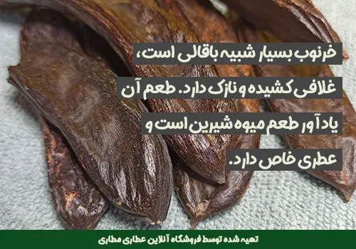 ویژگی های خرنوب - خواص خرنوب - خرنوب - خرنوب برای اقایان - خرنوب برای مردان