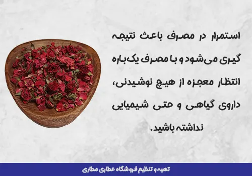 خواص مصرف گل نسترن - فواید نسترن قرمز - فایده دمنوش نسترن قرمز